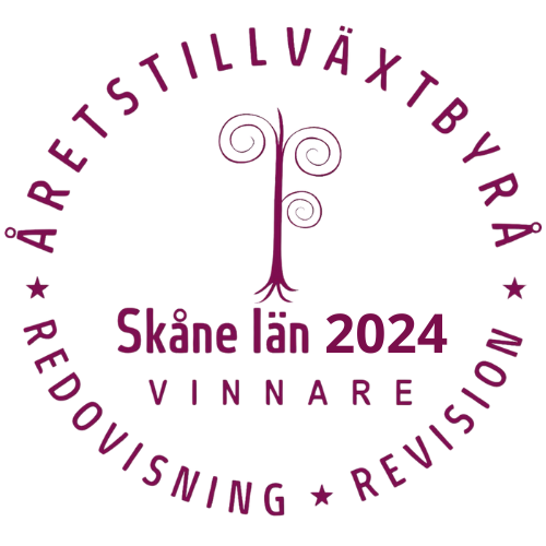 Pris för bästa redovisningstjänster i Skåne 2024 – Din Ekonomi i Skåne AB